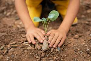 Aufwuchs KINDER STÄRKEN 2.0 - Freepik