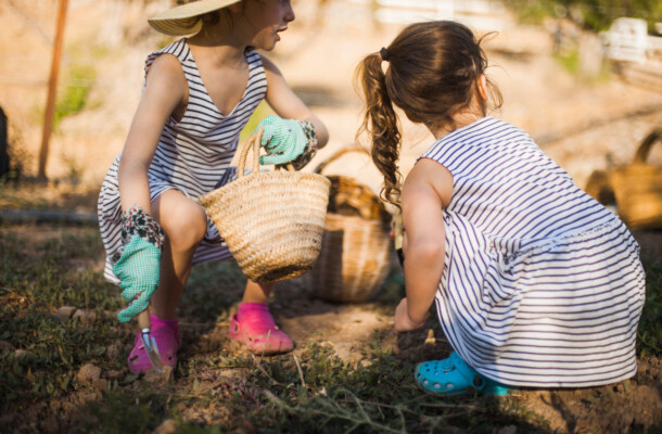 Ein Garten w&auml;chst - Freepik
