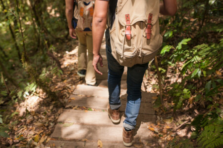 Teamtag Wald - Magnific